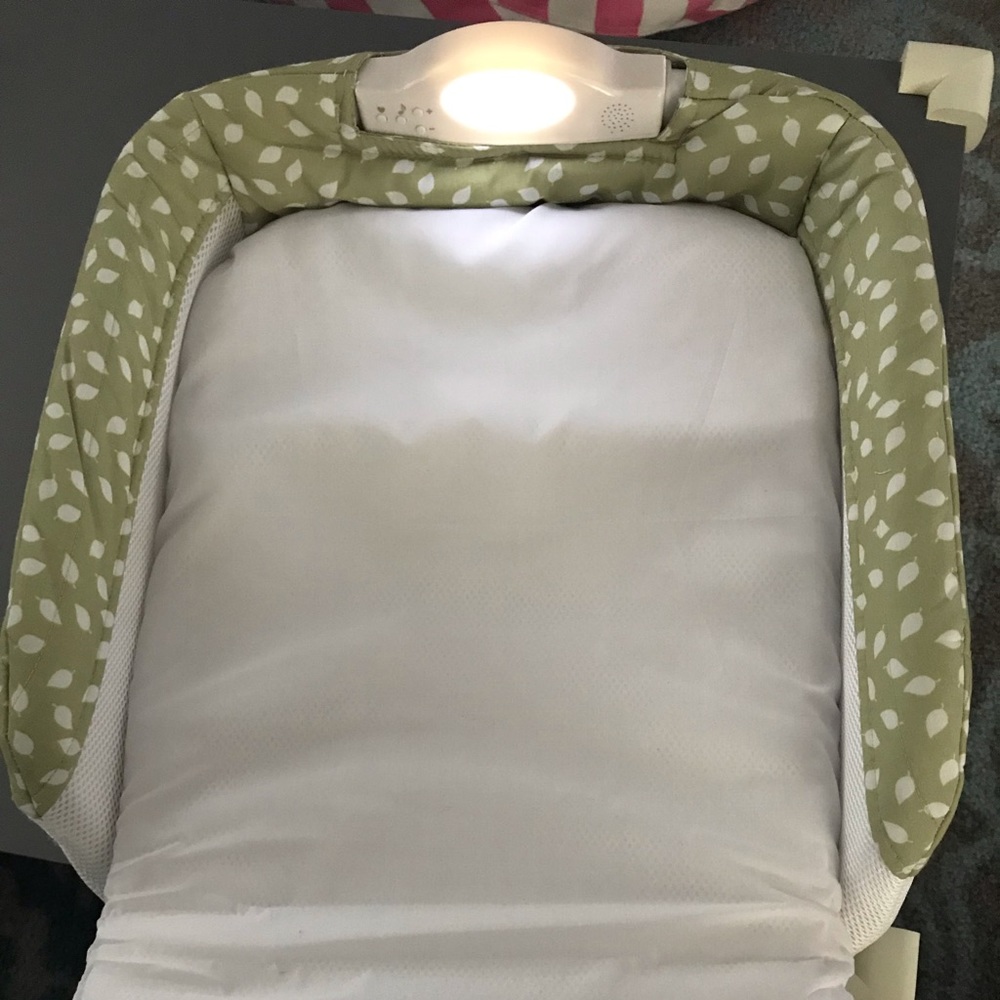 Baby Delights snuggle nest